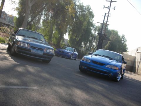 1992 Ford Crown Victoria - Three blue Ford Mustangs are parked on a street with trees and a utility pole visible.