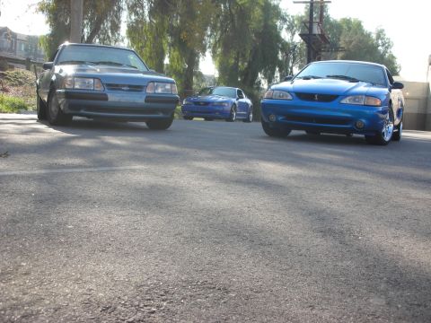 1992 Ford Crown Victoria - Three blue Ford Mustangs are parked on a paved surface with trees in the background.