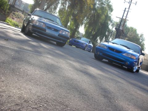 1992 Ford Crown Victoria - Three blue Ford Mustangs are lined up on a street, with the closest one being a 1994 model.