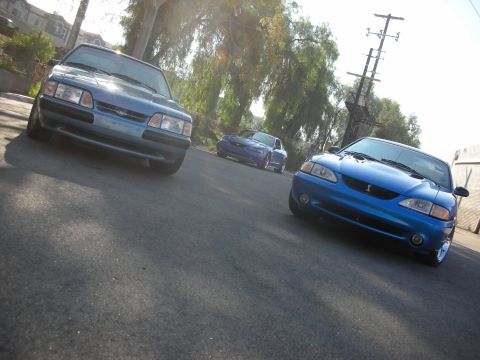 1992 Ford Crown Victoria - Three blue Ford Mustangs, likely from the mid-1990s, are lined up on a residential street.