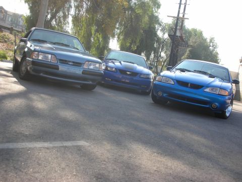 1992 Ford Crown Victoria - Three blue Ford Mustangs are parked on a street.