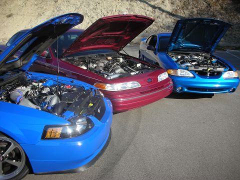 1992 Ford Crown Victoria - Three cars, a maroon Ford Crown Victoria and two blue Ford Mustangs, are parked with their hoods open.