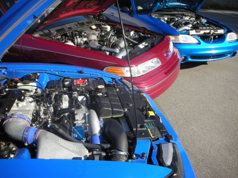 1992 Ford Crown Victoria - Three cars, a 1992 Ford Crown Victoria and two blue Mustangs, parked with hoods open.