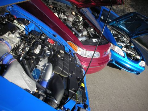 1992 Ford Crown Victoria - Multiple Ford Crown Victorias are lined up with their hoods open, displaying their engines.