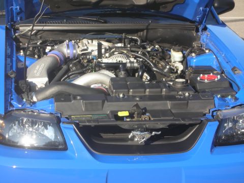 1992 Ford Crown Victoria - Engine bay of a blue Ford Mustang, likely from the early 2000s, an aftermarket cold air intake system.
