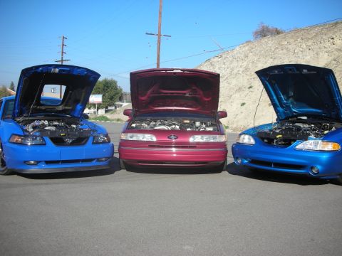 1992 Ford Crown Victoria - Three Ford Crown Victorias are parked in a lot with their hoods open, revealing their engines under a clear blue sky.