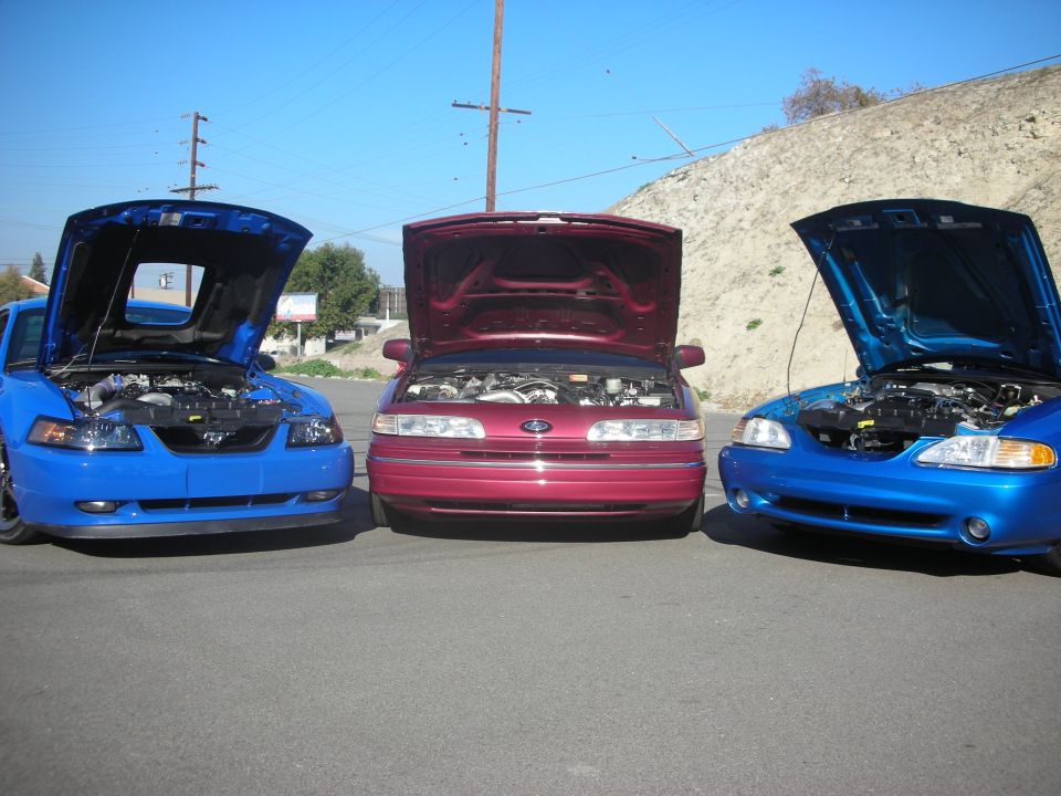 Three Ford Crown Victorias lined up, all with hoods open. The middle one is maroon, and the two outer ones are blue