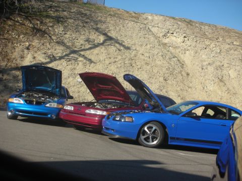 1992 Ford Crown Victoria - A red 1992 Ford Crown Victoria is parked with its hood open, alongside two blue Ford Mustangs, also with hoods raised.