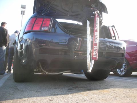 1998 Ford Crown Victoria - The rear of a dark blue Ford Mustang is shown with its trunk open and a prominent red 'Remove Before Flight' tag.