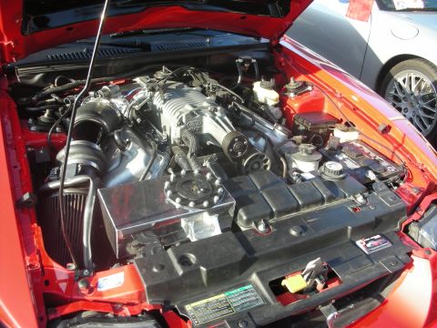1998 Ford Crown Victoria - Engine bay of a red car, a supercharged V8 engine and aftermarket parts.