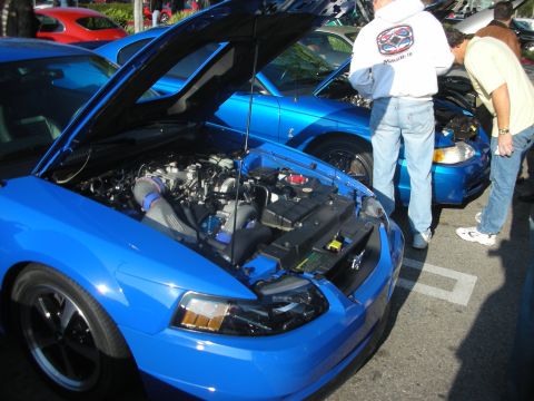 1998 Ford Crown Victoria - Two blue Ford Mustangs, one with hood open, at a car meet.