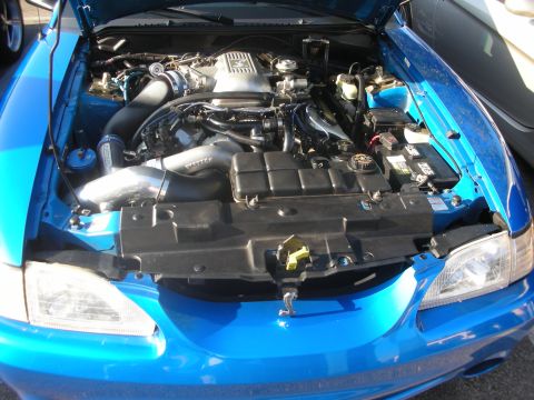 1998 Ford Crown Victoria - The engine bay of a blue car is open, revealing a modified engine with polished intake piping and various components.