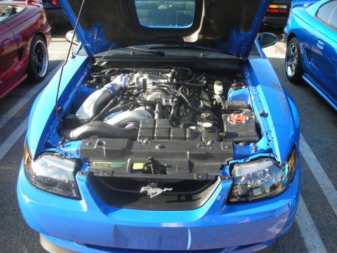 1998 Ford Crown Victoria - Engine bay of a blue Ford Mustang, parked next to another Mustang and a red car.