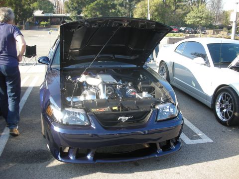 1998 Ford Crown Victoria - A dark blue Ford Mustang is parked with its hood open, revealing the engine, next to a white car.