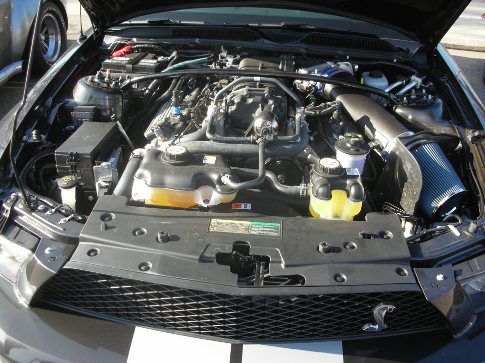 Engine bay of a black car with Shelby snake emblem on the strut tower brace
