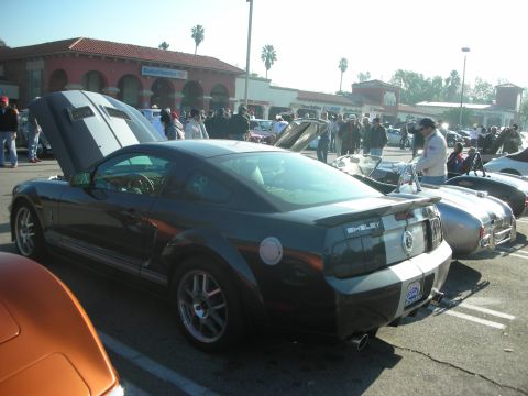 1998 Ford Crown Victoria - A dark grey Ford Mustang Shelby with silver racing stripes is parked at a car meet. Other classic cars are visible in the background.