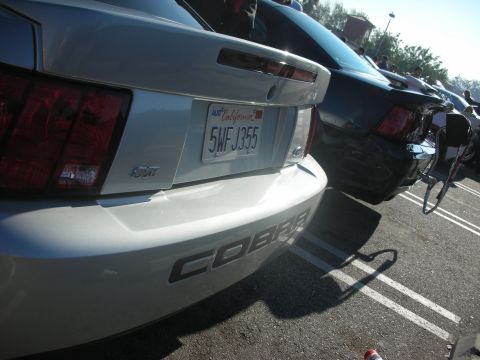 1998 Ford Crown Victoria - Two cars are parked in a lot, one is a silver Ford Mustang Cobra and the other is a dark sedan.
