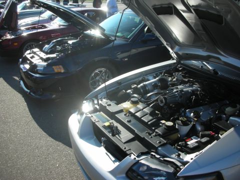 1998 Ford Crown Victoria - Multiple cars with hoods open at a car meet, revealing their engines.