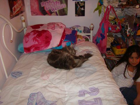 1989 Ford Bronco - A cat naps on a bed in a room decorated with posters and a young girl sits nearby.
