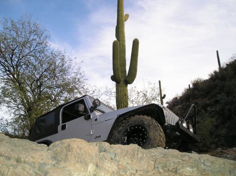 1986 Toyota Hilux - A Jeep Wrangler navigates a rocky desert trail with a tall saguaro cactus in the background.