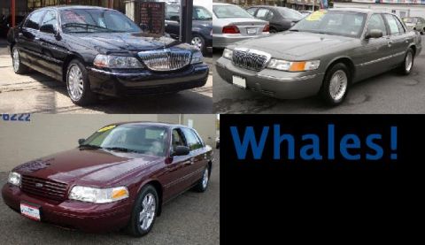 1988 Mercury Grand Marquis - A collage of sedans, including a Lincoln Town Car, a Ford Crown Victoria, and a Mercury Grand Marquis.
