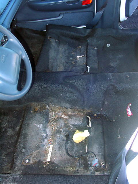 1999 Ford Crown Victoria - The interior floor of a car shows significant rust and dirt, with the steering wheel and door panel visible.