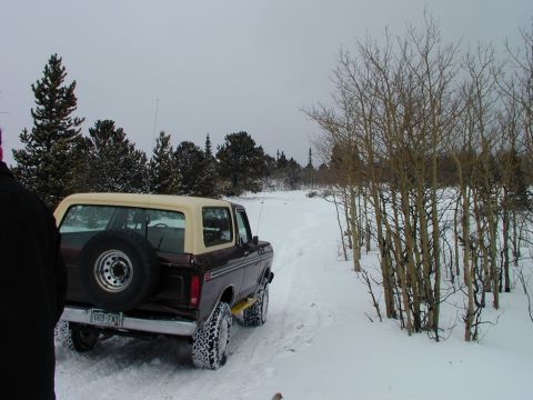 1979 Ford Bronco - A 1979 Ford Bronco navigates a snowy trail surrounded by bare trees.