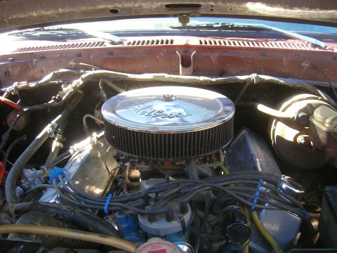 1979 Ford Bronco - Engine bay of a truck viewed straight down over the V8, topped with a chrome Edelbrock round air cleaner over a four-barrel carburetor on a…