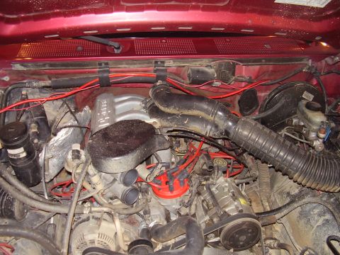 1994 Ford Bronco - The engine bay of a 1994 Ford Bronco shows its internal mechanical components.