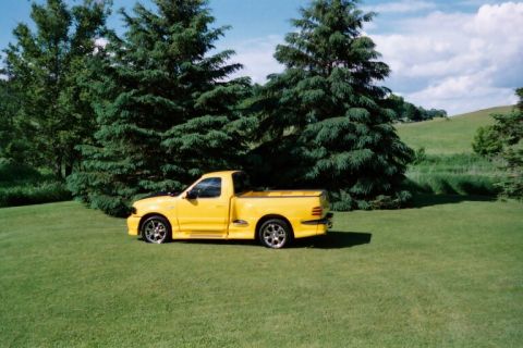 2002 Ford F-150 photo