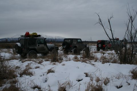 2003 Jeep TJ - Multiple Jeep TJs drive through a snowy, grassy field with mountains in the background.