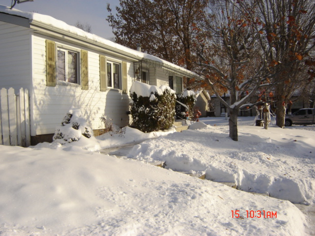 Snow covers the ground and bushes in front of a white house with green shutters. A tree stands in the yard