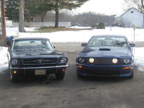 1965 Ford Mustang photo