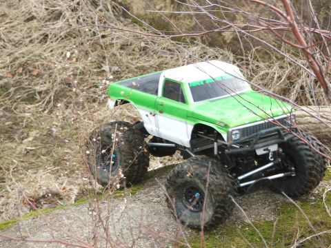 1996 Ford Bronco - RC monster truck with large tires on a dirt path, partially obscured by branches.