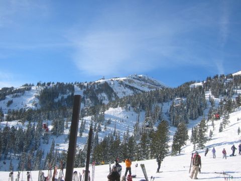 2006 BMW 5 Series - A wide view of a ski resort under a clear blue sky, with numerous skiers enjoying the slopes and chairlifts operating on the mountainside.