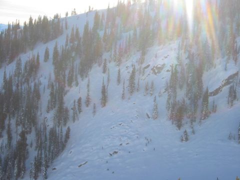 2006 BMW 5 Series - A sun-drenched snowy mountainside dotted with evergreen trees and several skiers.