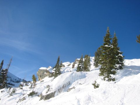 2006 BMW 5 Series - A snowy mountain landscape with pine trees and rocks under a bright blue sky.