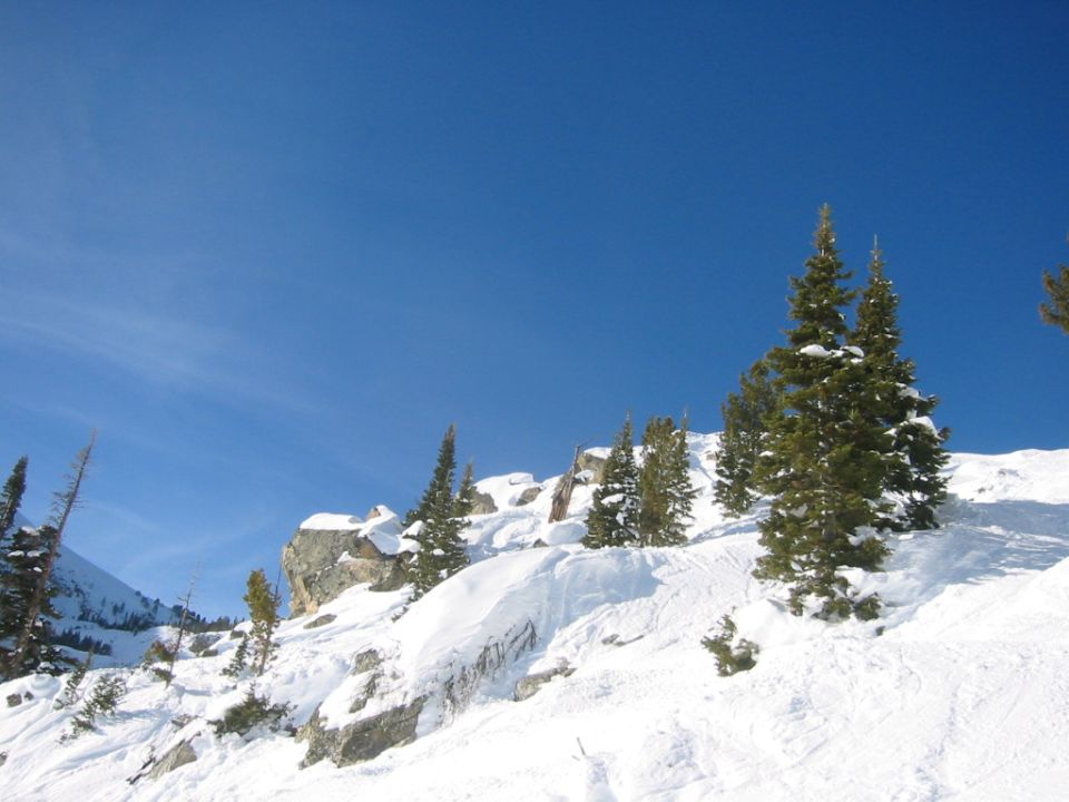 Snowy mountain slope with evergreens under a blue sky