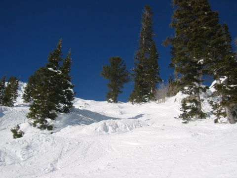 2006 BMW 5 Series - A snow-covered mountain landscape with evergreen trees and a bright blue sky. The Supermotors logo is visible at the bottom right.
