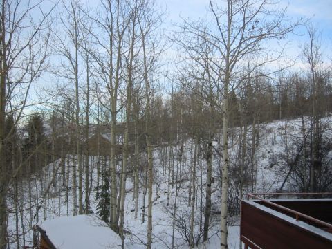 2006 BMW 5 Series - Winter scene with snow-covered ground and trees. A building is partially visible in the background.
