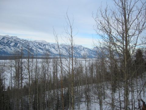2006 BMW 5 Series - A winter scene with snow-covered mountains in the distance and bare trees in the foreground.