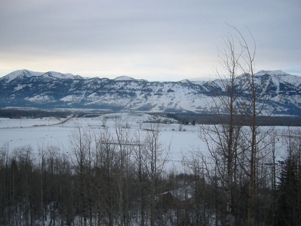 Snowy valley and mountain range under gray sky with bare trees