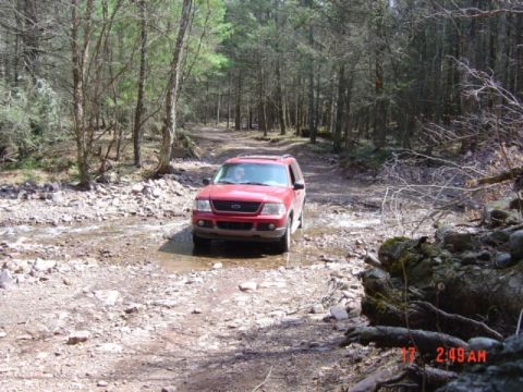 2003 Ford Crown Victoria photo