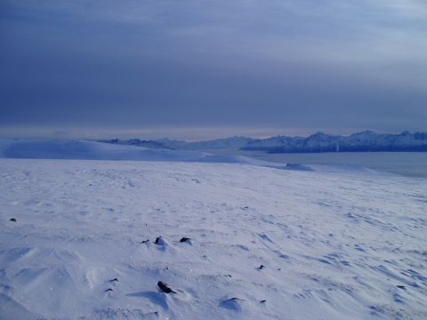 2000 Ford E350 - A vast, snow-covered terrain stretches towards a mountain range under a muted sky, with a hint of a distant vehicle.