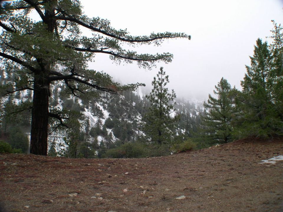 Mountain landscape with snow-dusted trees and a cloudy sky