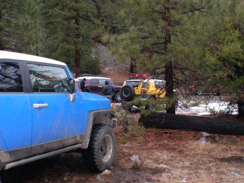 2007 Toyota FJ Cruiser - Several FJ Cruisers are parked in a wooded area, with a fallen log in the foreground.