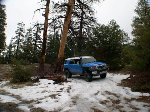 2007 Toyota FJ Cruiser - Blue 2007 Toyota FJ Cruiser parked on a snowy dirt road in a forest.