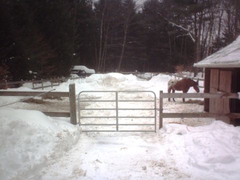 1966 Land Rover Discovery - A white SUV is seen parked in a snowy rural landscape, with a horse visible in the background near a stable.