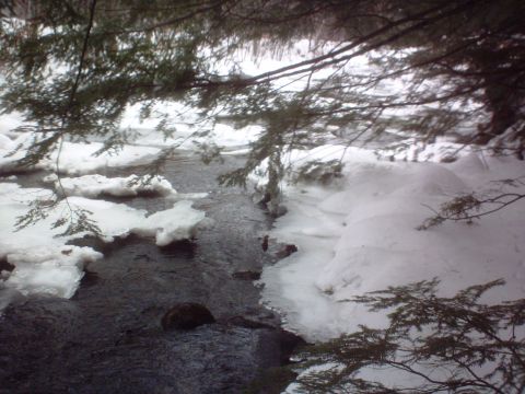 1966 Land Rover Discovery - A partially frozen stream flows through a snowy landscape, with evergreen branches hanging overhead.