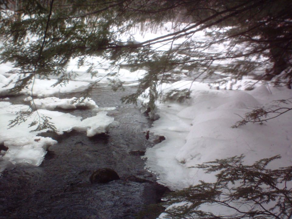winter stream with ice and snow along the banks, trees overhead